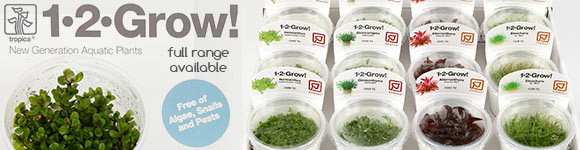 1 2 Grow Plants Available Online Aquascape Art The Green Machine